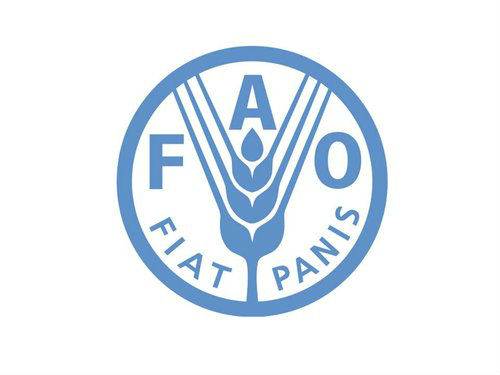 FAOwhite.width-500 FAOwhite.width-500