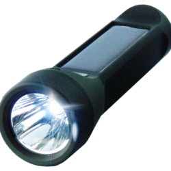 salamander3-1024x943