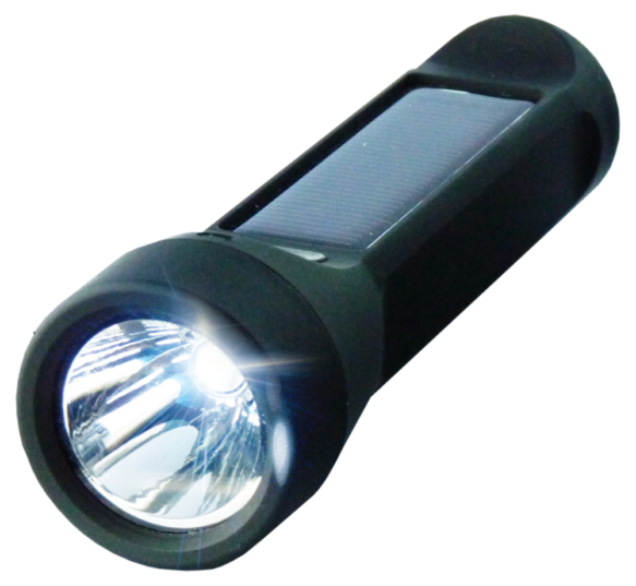 salamander3-1024x943 salamander3-1024x943