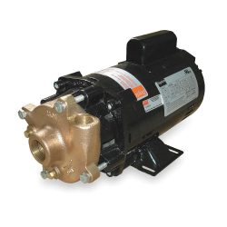 Bronze, Brass 1/3 HP Centrifugal Pump, 1 Phase, 115/230 Voltage