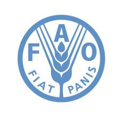 FAOwhite.width-500