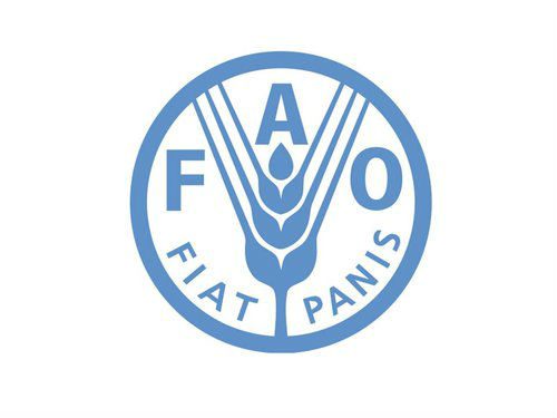 FAOwhite.width-500 FAOwhite.width-500