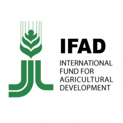 IFAD