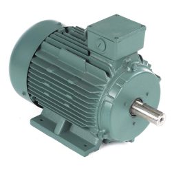 LEESON 10 HP Premium Efficiency Metric Motor