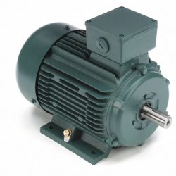 LEESON, 5-1:2 HP Premium Efficiency Metric Motor