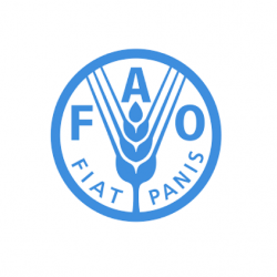 FAO-logo