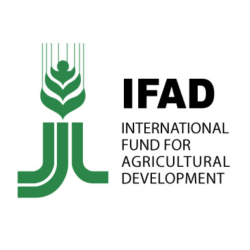 IFAD