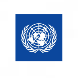 UN-Logo